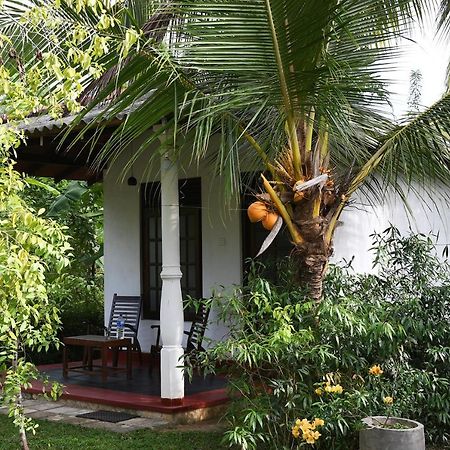 Bay Hill Guest House Tangalle Exteriör bild