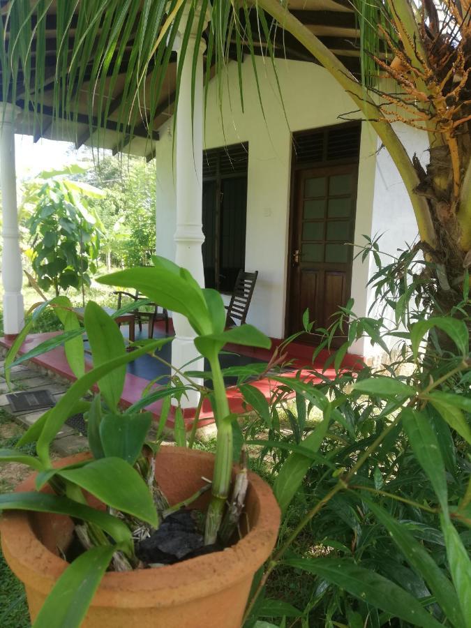 Bay Hill Guest House Tangalle Exteriör bild