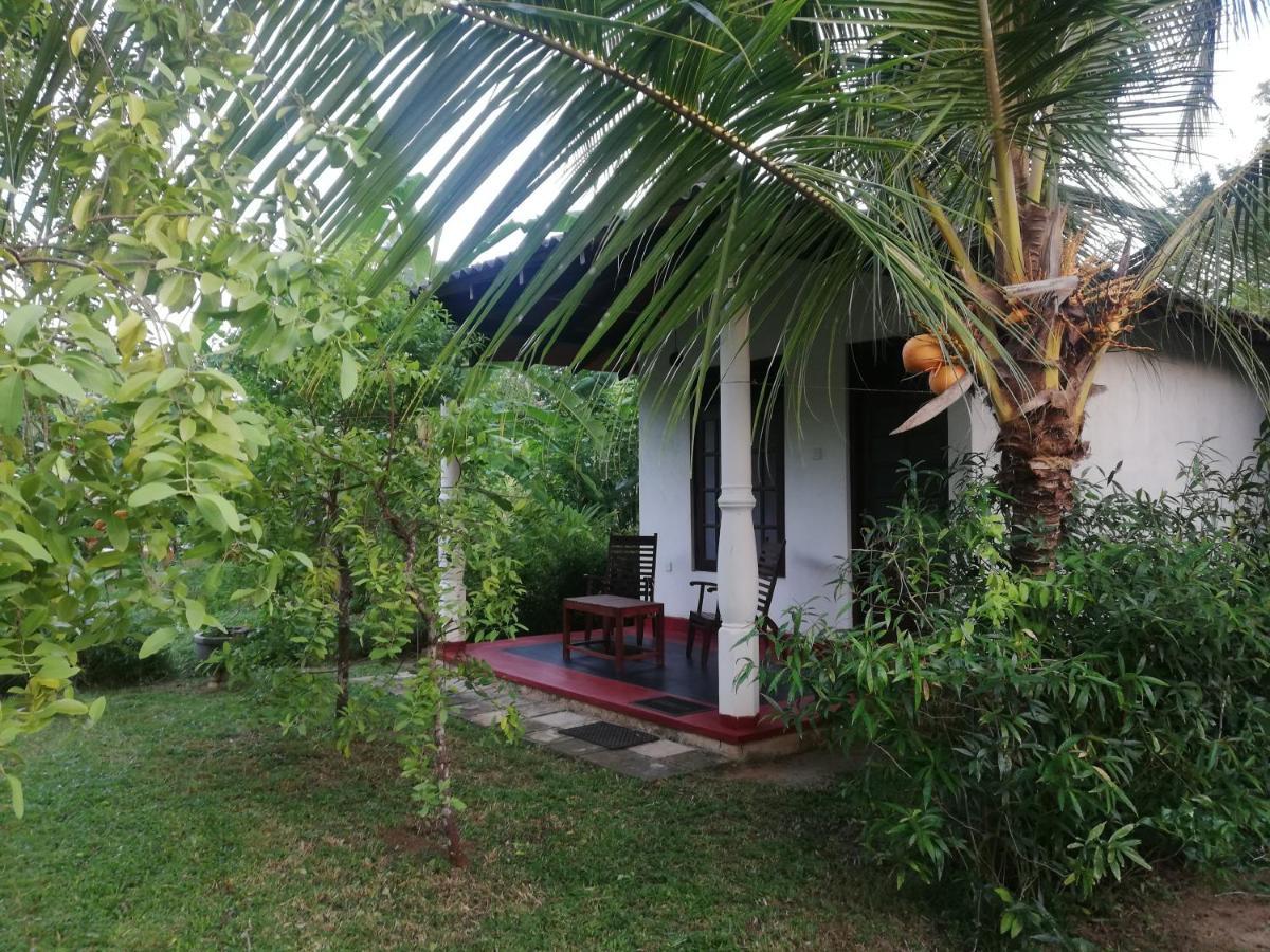 Bay Hill Guest House Tangalle Exteriör bild
