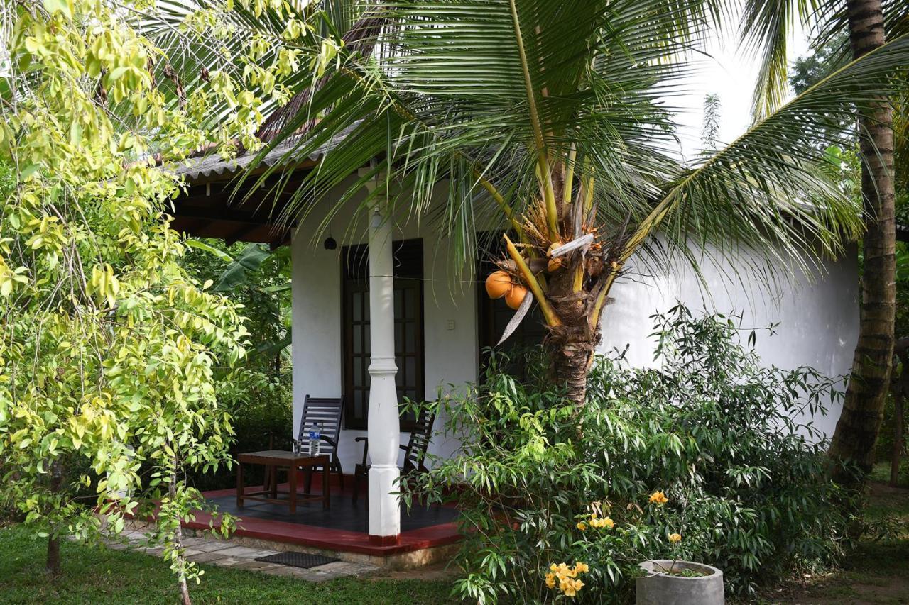 Bay Hill Guest House Tangalle Exteriör bild