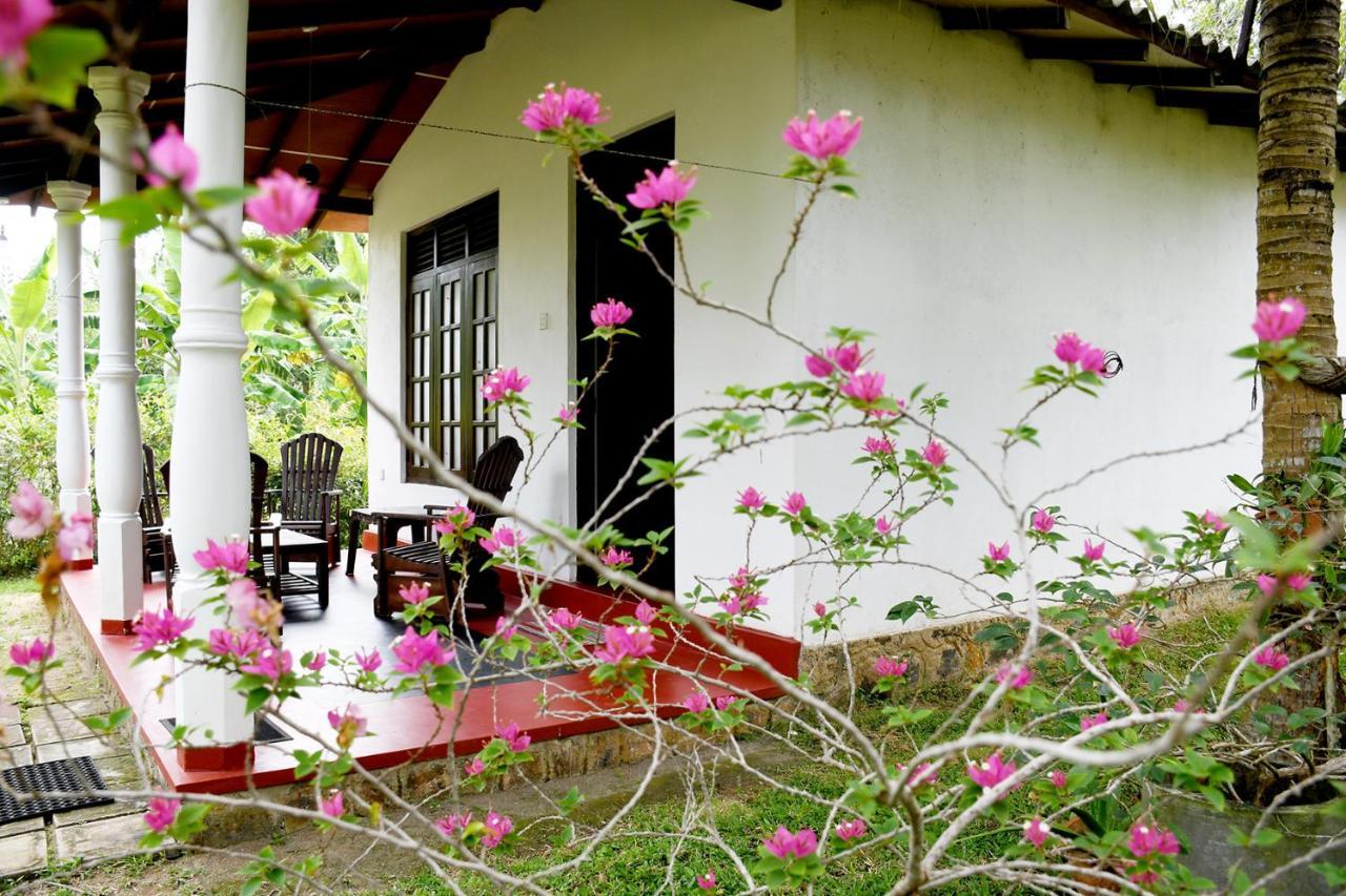 Bay Hill Guest House Tangalle Exteriör bild