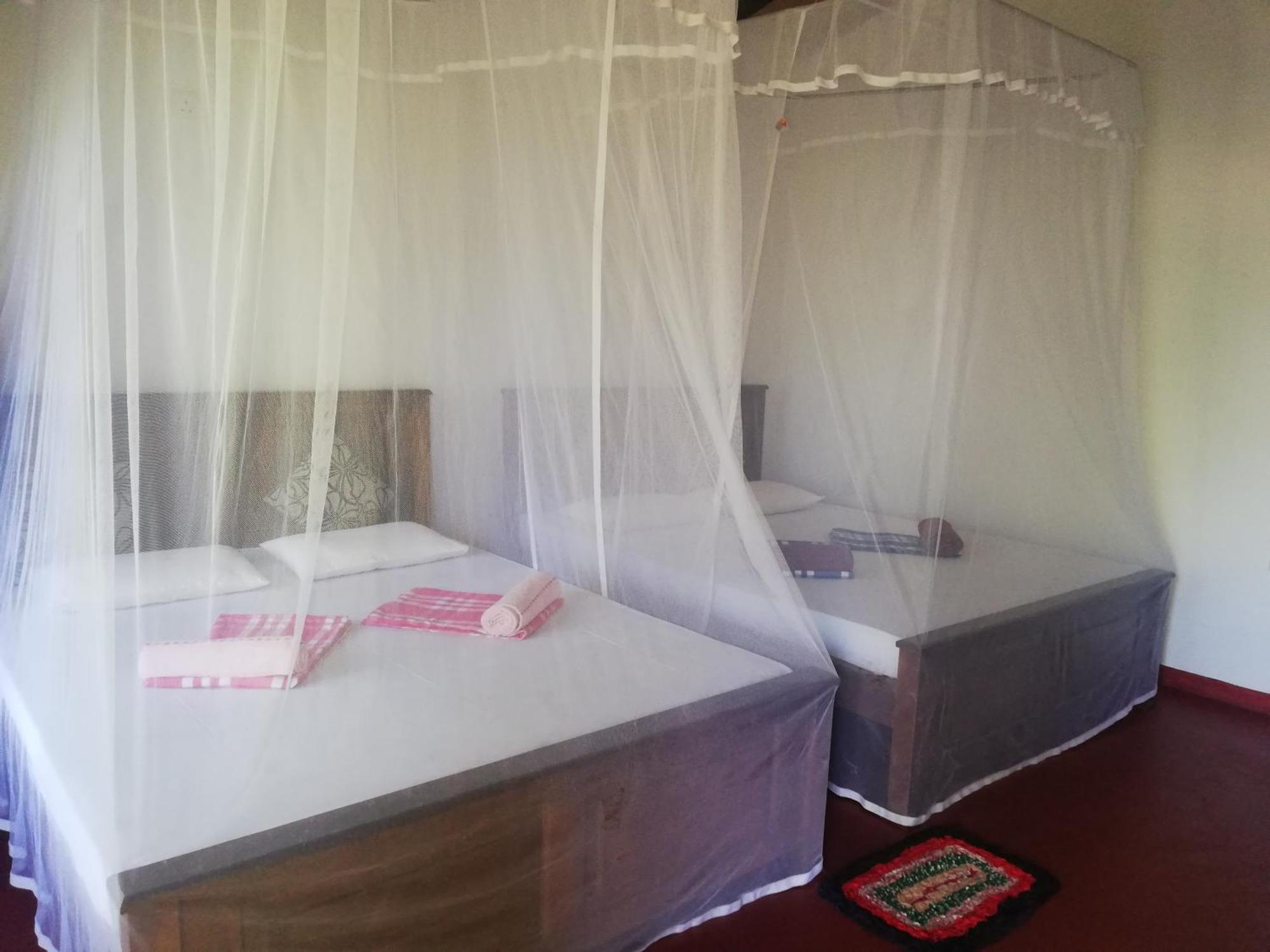 Bay Hill Guest House Tangalle Rum bild